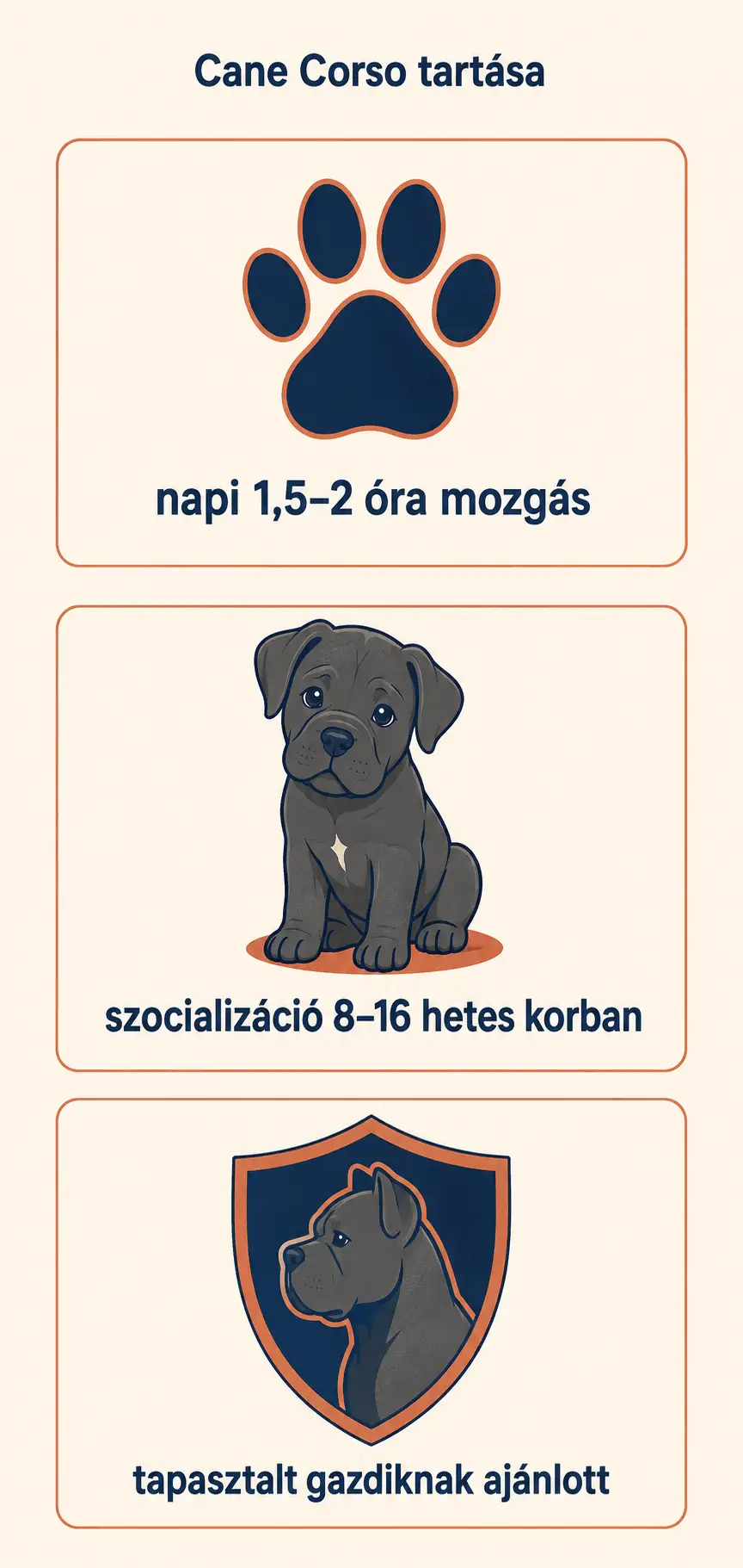 cane-corso
