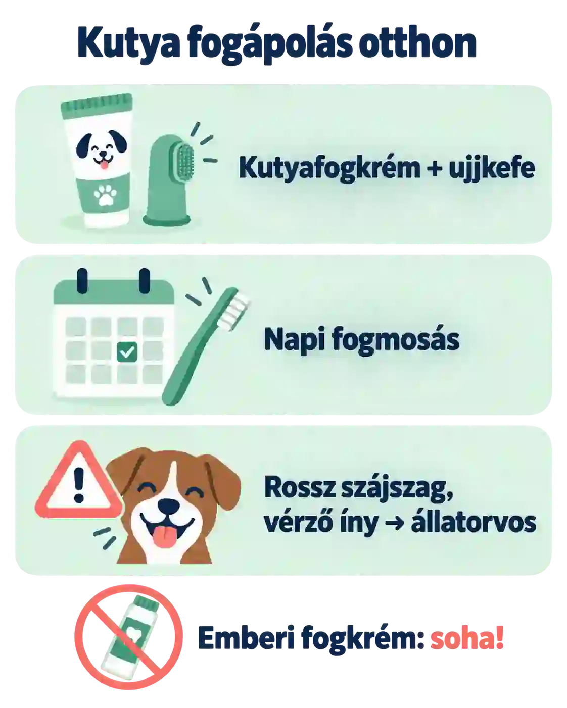 Kutya fogápolás otthon